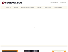 Tablet Screenshot of gamecockbcm.com